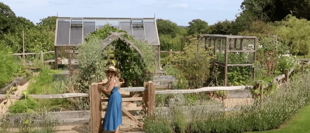 Zoe’s mom tracey’s amazing vegetable&nbsp;patches